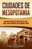 Ciudades de Mesopotamia: Una guía fascinante de Eridú, Uruk, Ur, Acad, Assur, Lagash, Babilonia, Nippur, Nimrud y Nínive (eBook, ePUB)