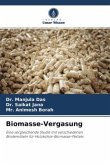 Biomasse-Vergasung