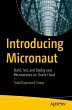 Introducing Micronaut - Bild 1