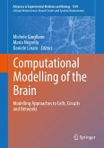 Computational Modelling of the Brain (eBook, PDF)
