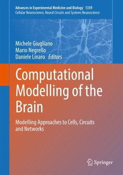 Computational Modelling of the Brain (eBook, PDF)
