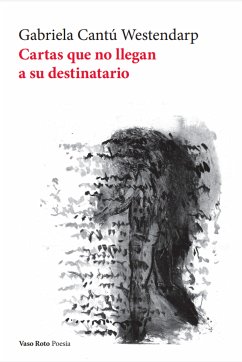 Cartas que no llegan a su destinatario (eBook, ePUB) - Cantú Westendarp, Gabriela