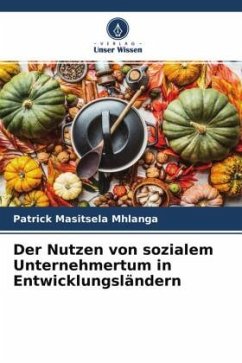 Der Nutzen von sozialem Unternehmertum in Entwicklungsländern - Mhlanga, Patrick Masitsela