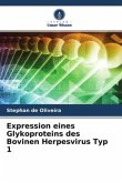 Expression eines Glykoproteins des Bovinen Herpesvirus Typ 1