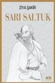 Sari Saltuk