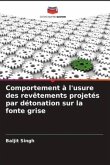 Comportement à l'usure des revêtements projetés par détonation sur la fonte grise