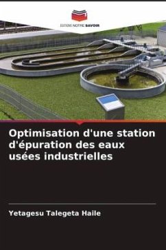 Optimisation d'une station d'épuration des eaux usées industrielles - Haile, Yetagesu Talegeta