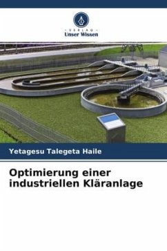 Optimierung einer industriellen Kläranlage - Haile, Yetagesu Talegeta