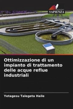 Ottimizzazione di un impianto di trattamento delle acque reflue industriali - Haile, Yetagesu Talegeta