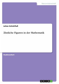 Ähnliche Figuren in der Mathematik - Schickfluß, Julian