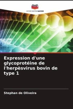 Expression d'une glycoprotéine de l'herpèsvirus bovin de type 1 - de Oliveira, Stephan
