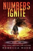 Numbers Ignite (Numbers Game Saga, #2) (eBook, ePUB)