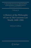 A Treatise of Legal Philosophy and General Jurisprudence (eBook, PDF)