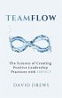 Teamflow (eBook, ePUB) - Bild 1