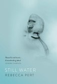 Still Water (eBook, ePUB)