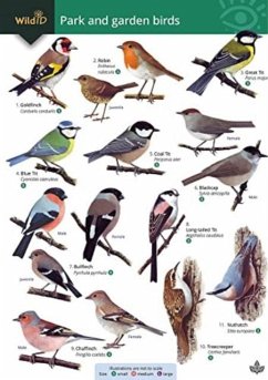 Cover Park and garden birds