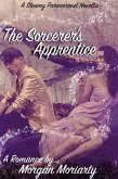 The Sorcerer's Apprentice: A Fantasy Romance Novella (eBook, ePUB)