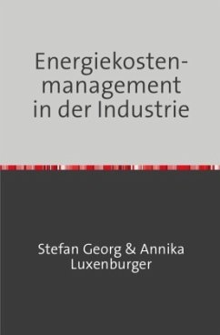 Energiekostenmanagement in der Industrie - Georg, Stefan;Luxenburger, Annika