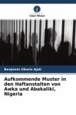 Aufkommende Muster in den Haftanstalten von Awka und Abakaliki, Nigeria