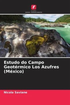 Estudo do Campo Geotérmico Los Azufres (México) - Saviane, Nicola