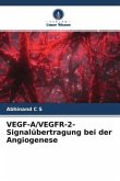 VEGF-A/VEGFR-2-Signalübertragung bei der Angiogenese