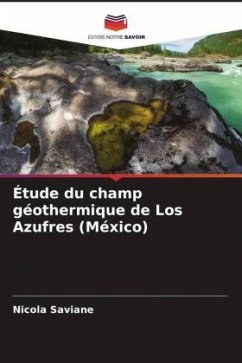 Étude du champ géothermique de Los Azufres (México) - Saviane, Nicola