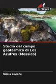 Studio del campo geotermico di Los Azufres (Messico)