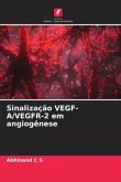 Sinalização VEGF-A/VEGFR-2 em angiogênese