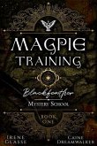 Blackfeather Mystery School (eBook, ePUB)