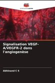 Signalisation VEGF-A/VEGFR-2 dans l'angiogenèse