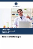 Telestomatologie