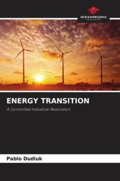 ENERGY TRANSITION - Dudiuk, Pablo