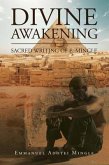 Divine Awakening (eBook, ePUB)