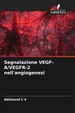 Segnalazione VEGF-A/VEGFR-2 nell'angiogenesi