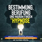 Bestimmung, Berufung und Warum finden - die Hypnose / Meditation (MP3-Download)