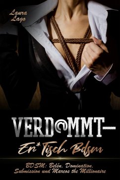 Verd@mmt-Er*tisch (eBook, ePUB) - Lago, Laura