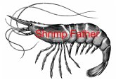Shrimp Father (eBook, ePUB)