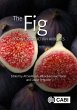The Fig (eBook, ePUB) - Bild 1