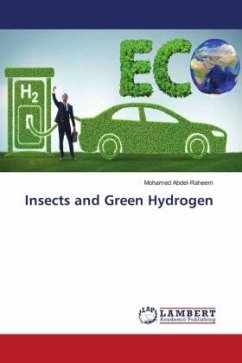 Insects and Green Hydrogen