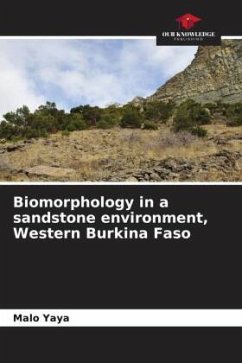 Biomorphology in a sandstone environment, Western Burkina Faso - Yaya, Malo