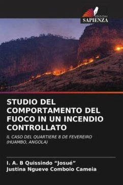 Cover STUDIO DEL COMPORTAMENTO DEL FUOCO IN UN INCENDIO CONTROLLATO