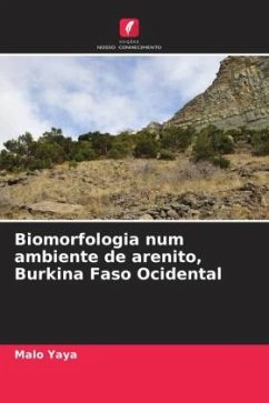 Biomorfologia num ambiente de arenito, Burkina Faso Ocidental - Yaya, Malo