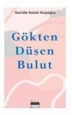 Gökten Düsen Bulut