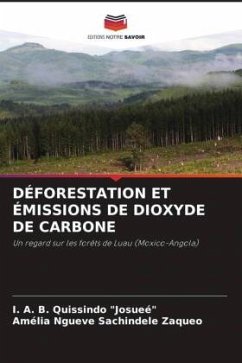 Cover DÉFORESTATION ET ÉMISSIONS DE DIOXYDE DE CARBONE