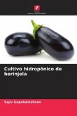 Cultivo hidropônico de berinjela