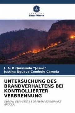 UNTERSUCHUNG DES BRANDVERHALTENS BEI KONTROLLIERTER VERBRENNUNG - Quissindo "Josué", I. A. B;Cameia, Justina Ngueve Comboio