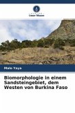 Biomorphologie in einem Sandsteingebiet, dem Westen von Burkina Faso