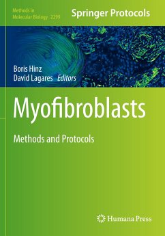 Myofibroblasts