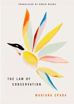 Cover The Law of Conservation (eBook, ePUB)