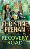 Recovery Road (eBook, ePUB)